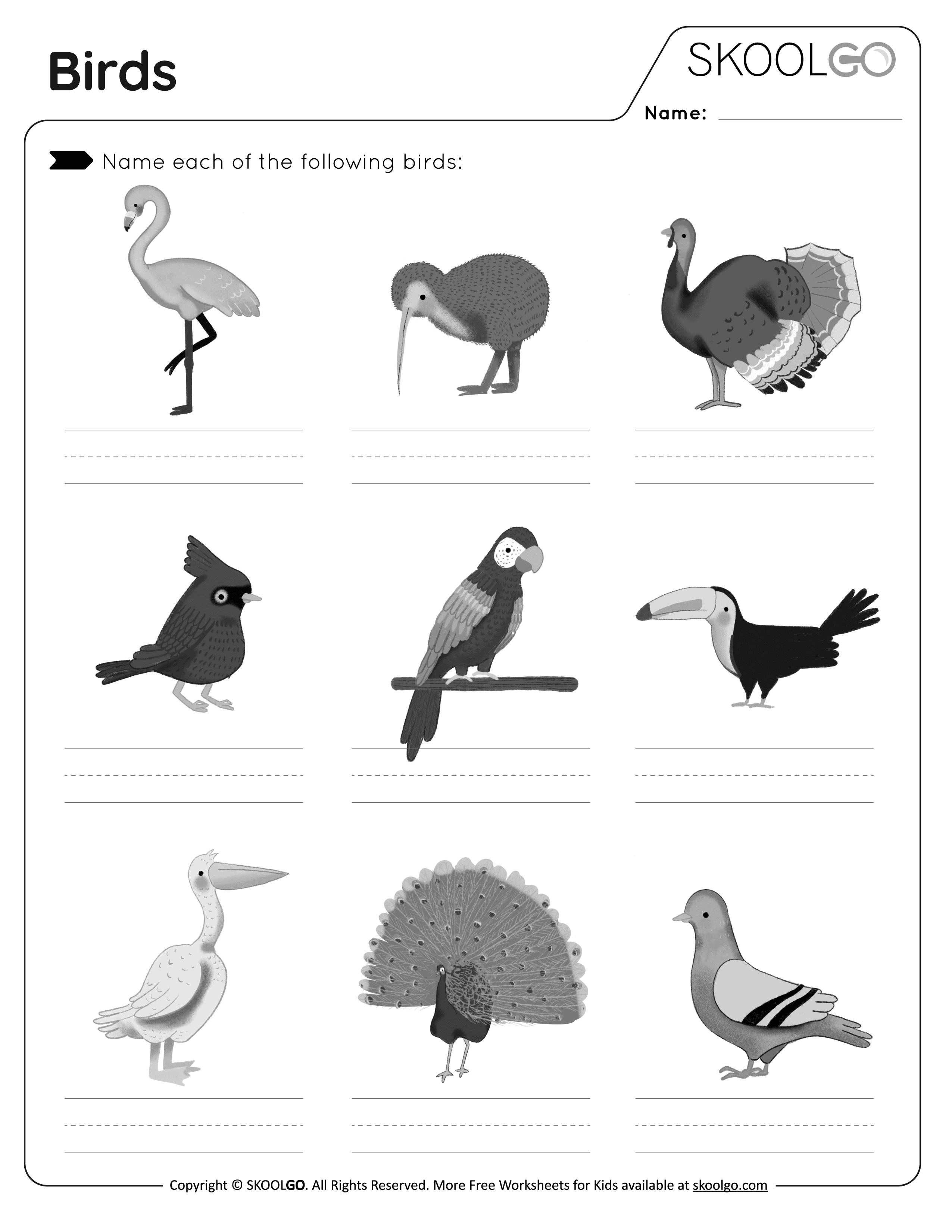 Birds - Free Worksheet - SKOOLGO