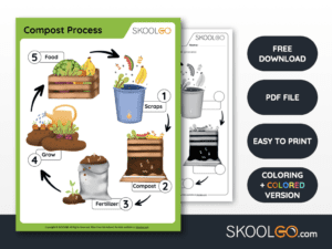 Compost Themed Math Worksheets Compost Process - Free Worksheet - SKOOLGO