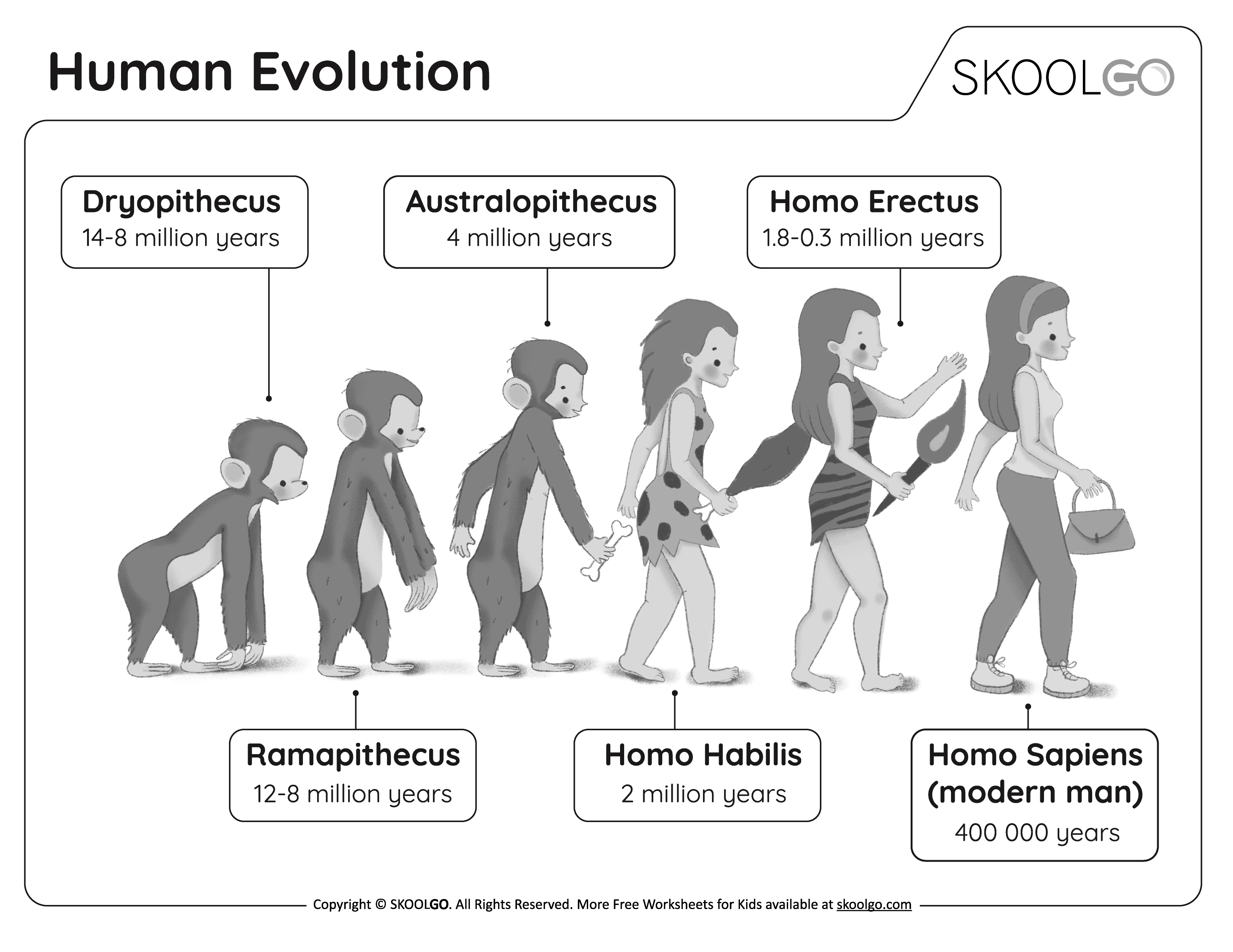 Human Evolution Free Worksheet SKOOLGO Human Evolution Free Worksheet SKOOLGO
