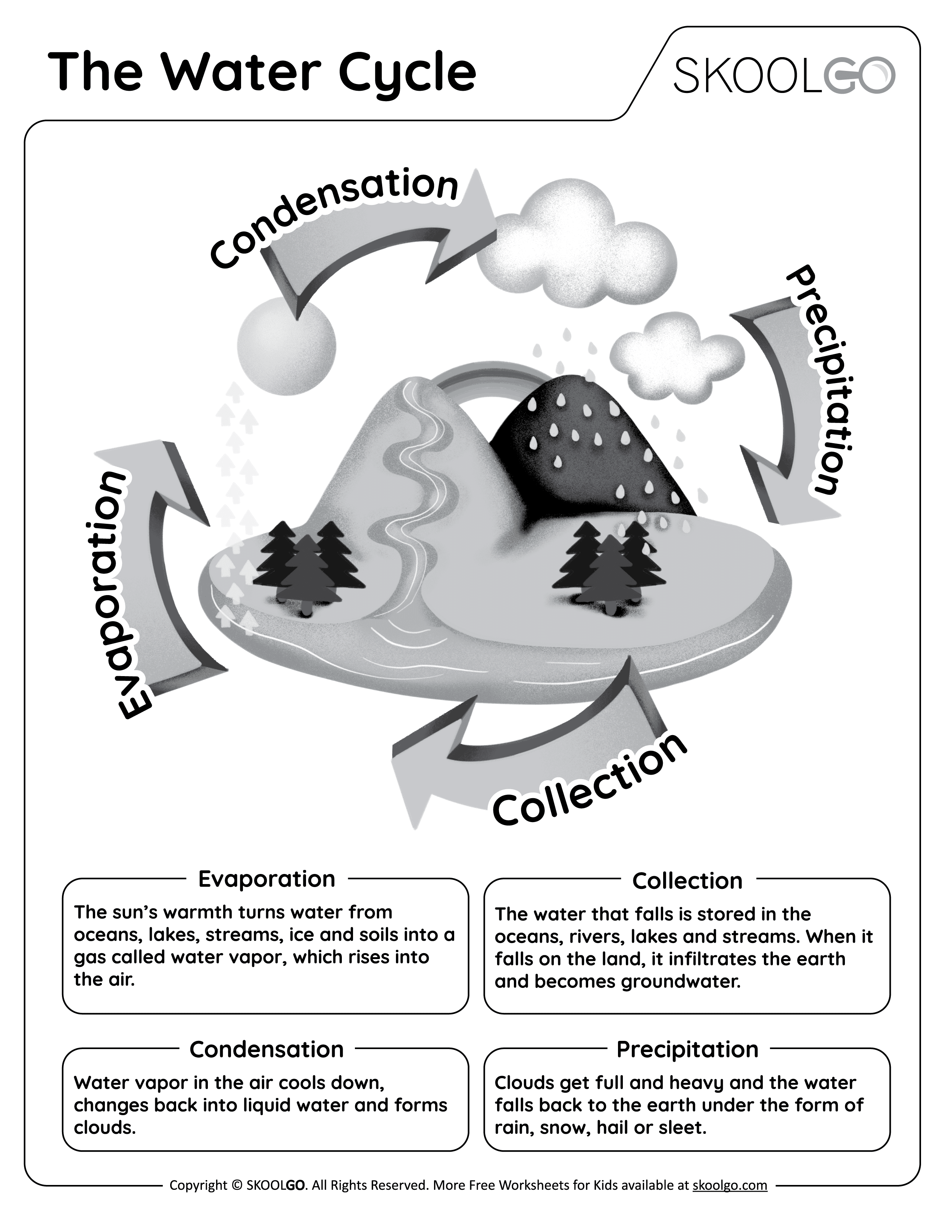 The Water Cycle Free Worksheet SKOOLGO