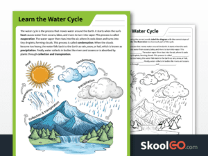 Preview image of the "Learn the Water Cycle" worksheet for Grades 2–4, showing both color and black & white printable pages.