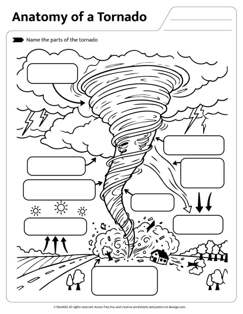 Anatomy of a Tornado Labeling Activity Worksheet Anatomy of a tornado worksheet labeling activity for learning tornado parts