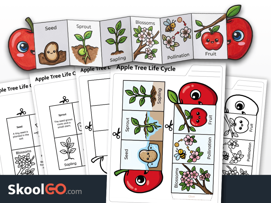 Free printable apple tree life cycle activity for science learning