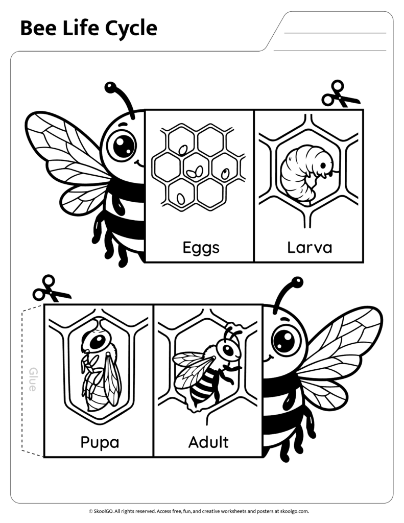 Bee Life Cycle Cut and Fold Worksheet Black and White Black and white bee life cycle sequencing worksheet for coloring and assembly