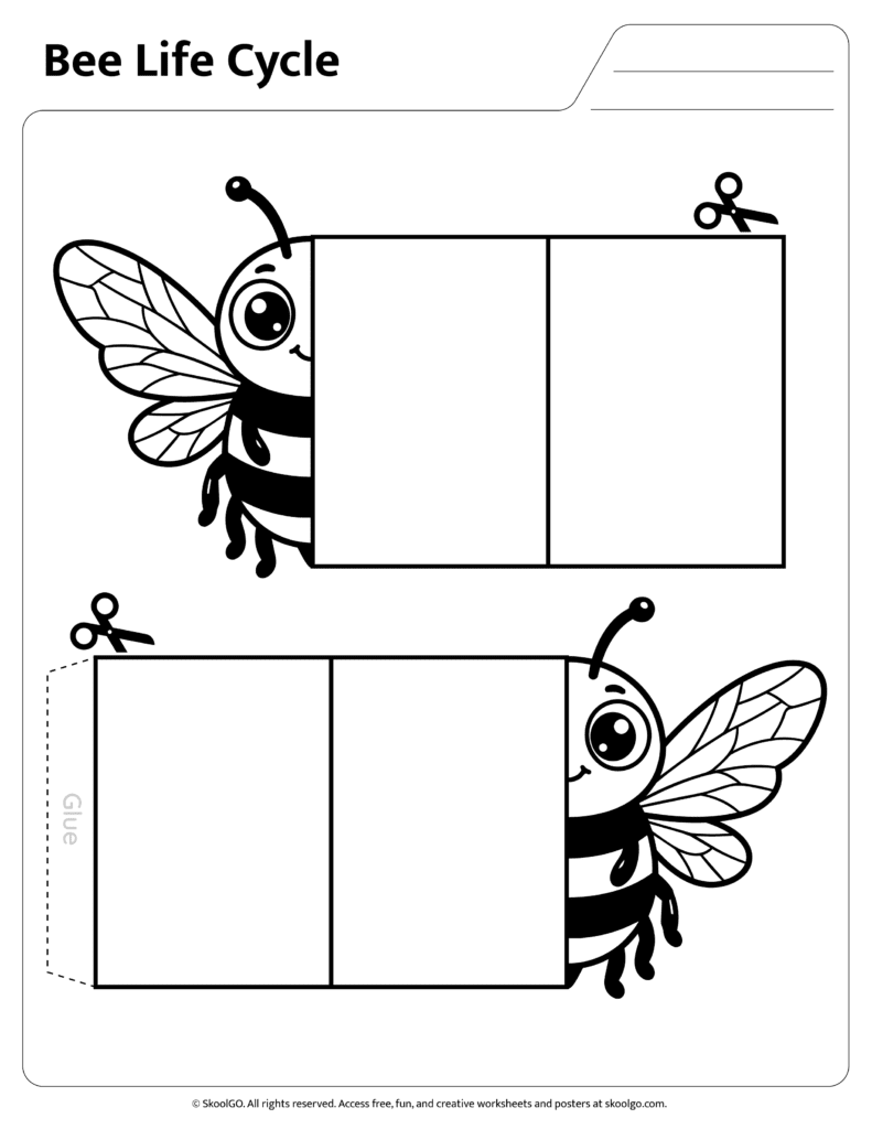 Bee Life Cycle Cut and Fold Template Page Printable bee life cycle cut and fold template page for classroom science activities