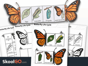 Butterfly life cycle cut and fold worksheet for sequencing and science learning