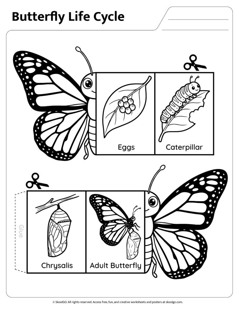 Butterfly Life Cycle Cut Out Labels Butterfly life cycle labels and cut out pieces for foldable science activity