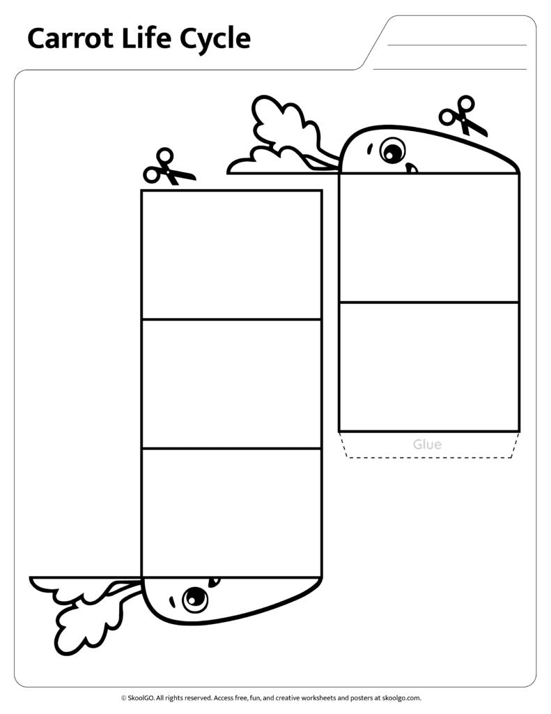 Carrot Life Cycle Coloring Worksheet Black and white carrot life cycle worksheet for coloring and assembly