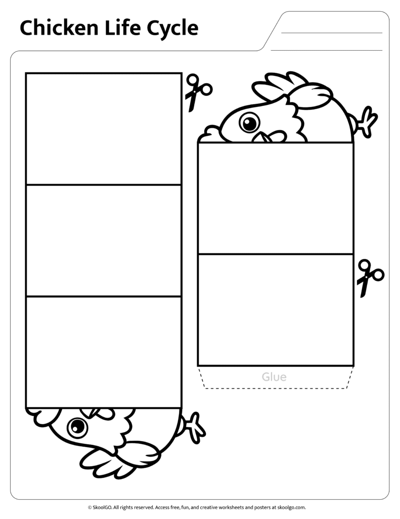 Chicken Life Cycle Assembly Template Backing page for the chicken life cycle interactive wheel activity