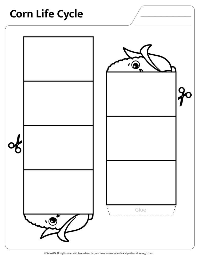 Corn life cycle craft assembly worksheet page