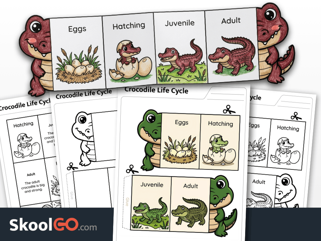 Crocodile life cycle worksheet printable science activity for young learners
