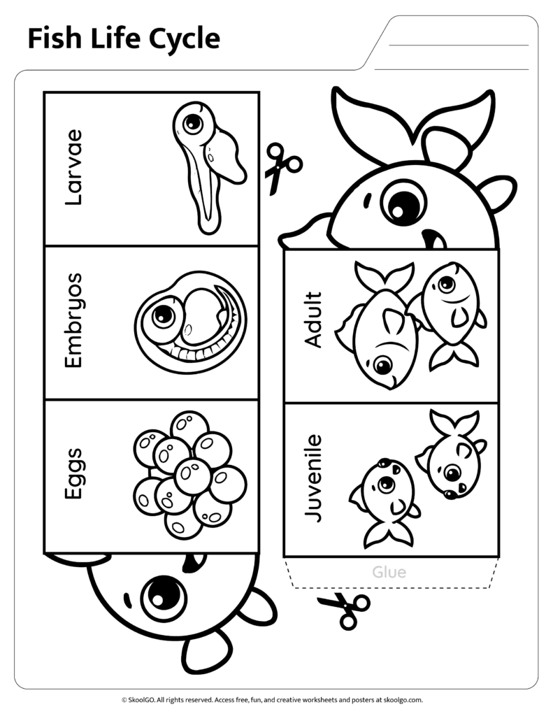 Black and white fish life cycle worksheet for coloring and sequencing practice
