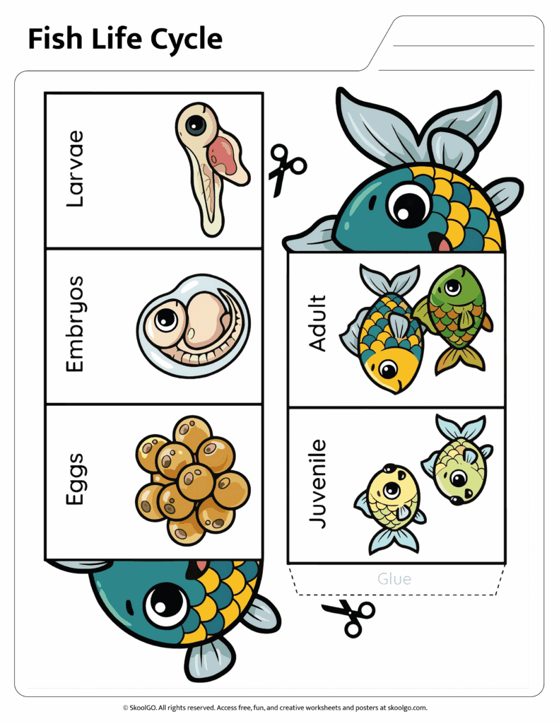 Color fish life cycle worksheet showing eggs embryos larvae juvenile and adult stages