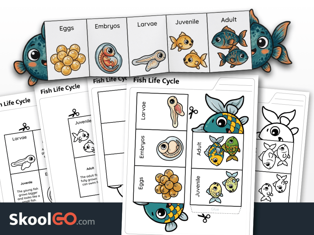 Fish life cycle worksheet printable science activity for young learners