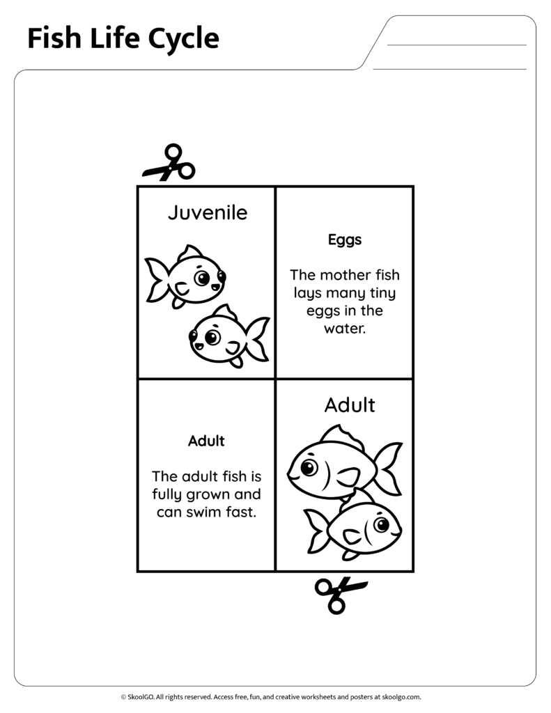 Fish life cycle information page describing eggs juvenile and adult stages
