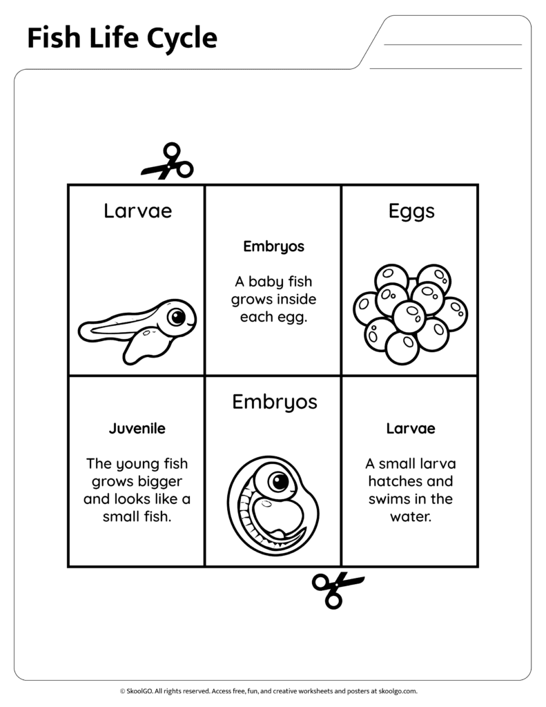 Fish life cycle information page describing embryos larvae and juvenile stages