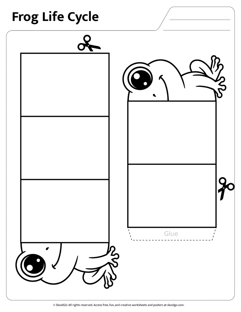 Color frog life cycle matching and sequencing science activity