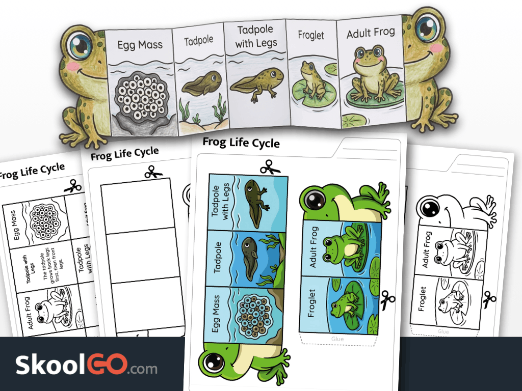 Free printable frog life cycle sequencing activity worksheet for science learning