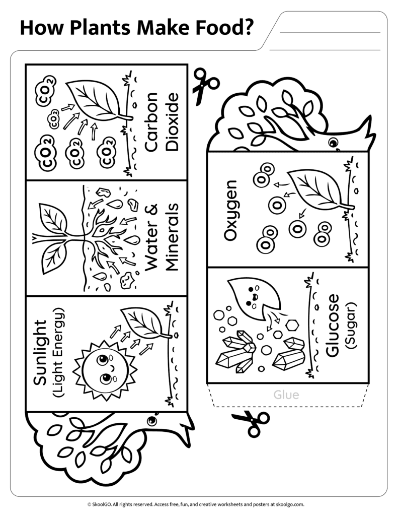 How Plants Make Food Activity Black and White Version Black and white how plants make food worksheet for coloring and learning