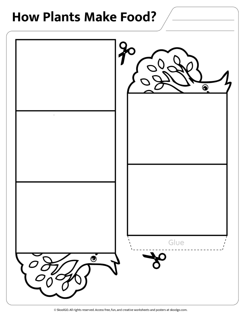 Photosynthesis Cut Out Labels and Cards Cut out labels for sunlight oxygen glucose carbon dioxide water and minerals