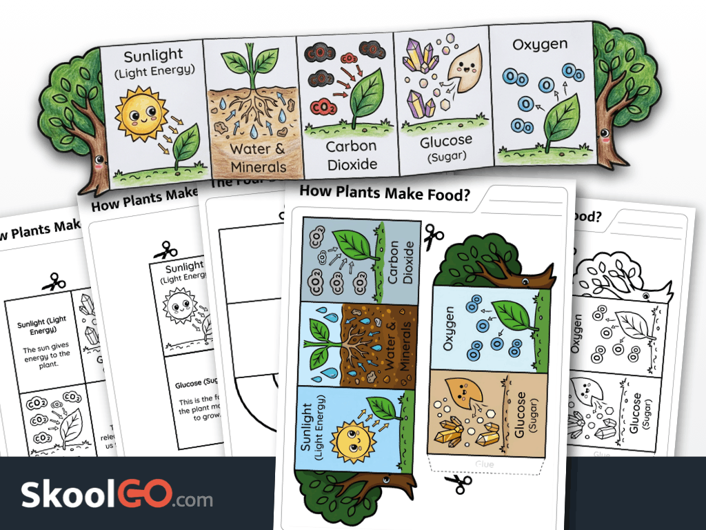 How plants make food worksheet printable science activity about photosynthesis