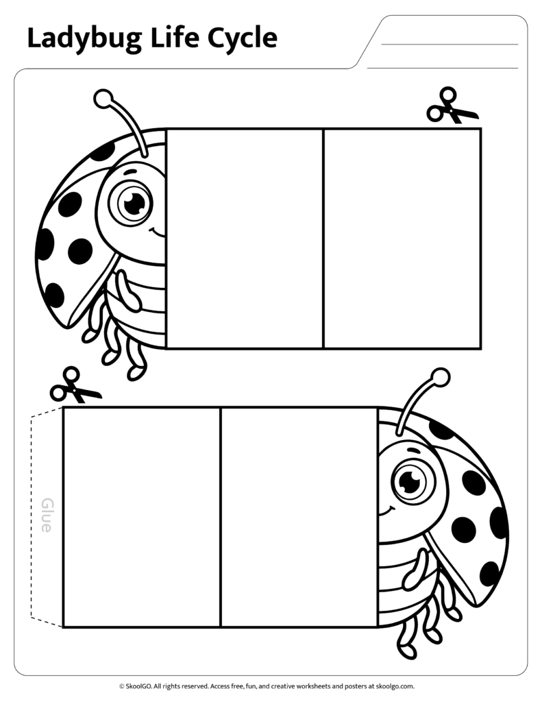 Ladybug Life Cycle Cut and Paste Practice Page Printable ladybug life cycle cut and paste activity page for young learners
