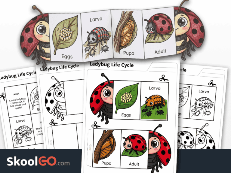 Ladybug Life Cycle Cut and Paste Worksheet - SKOOLGO