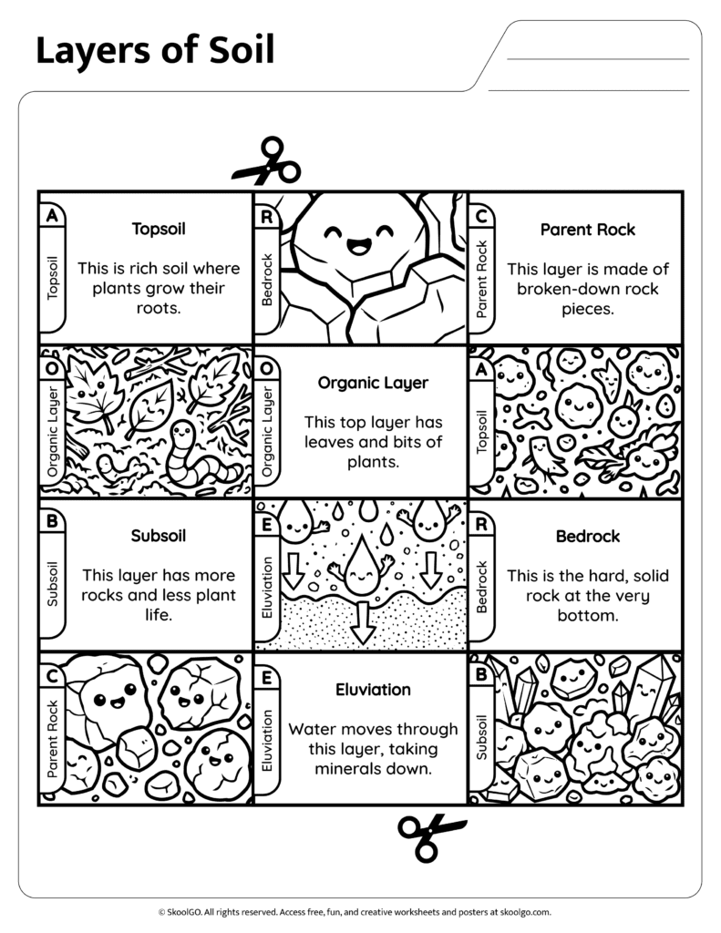 Layers of soil matching worksheet with soil horizon descriptions and images