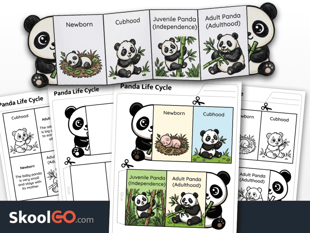 Panda life cycle activity printable worksheet for science learning