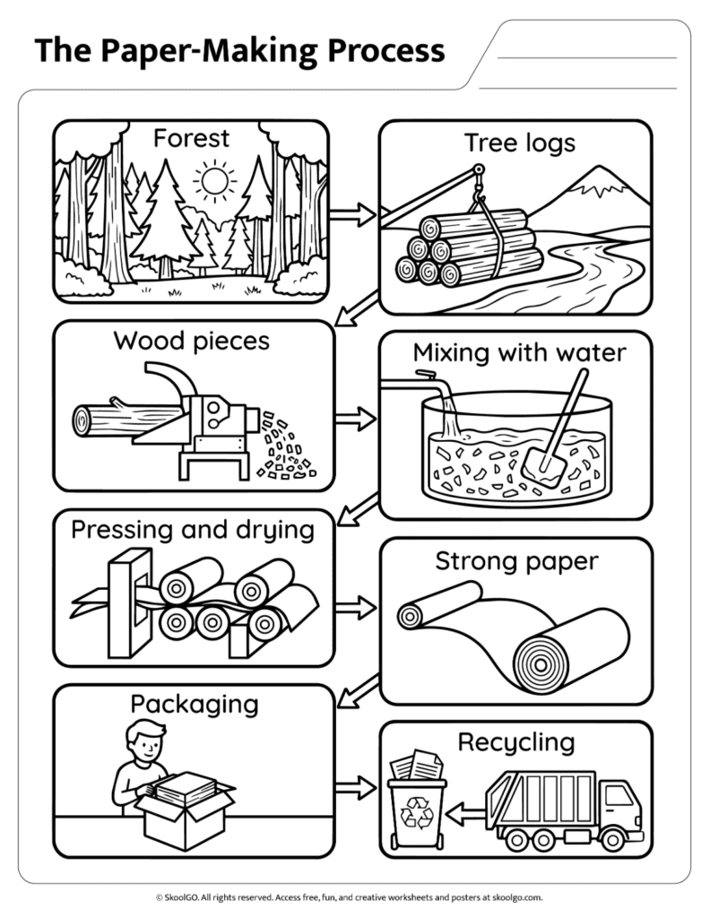 The Paper-Making Process Black and White Worksheet Black and white paper-making process worksheet for coloring and classroom activities