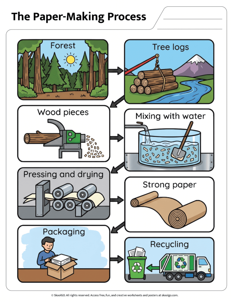 The Paper-Making Process Color Diagram Color paper-making process worksheet showing forest, paper production, packaging and recycling