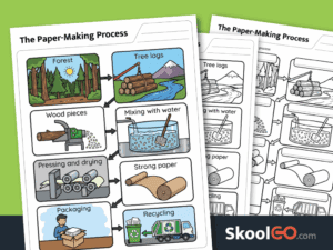 Paper-making process worksheet showing how paper is made from trees to recycling