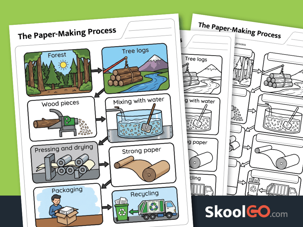 Paper-making process worksheet showing how paper is made from trees to recycling