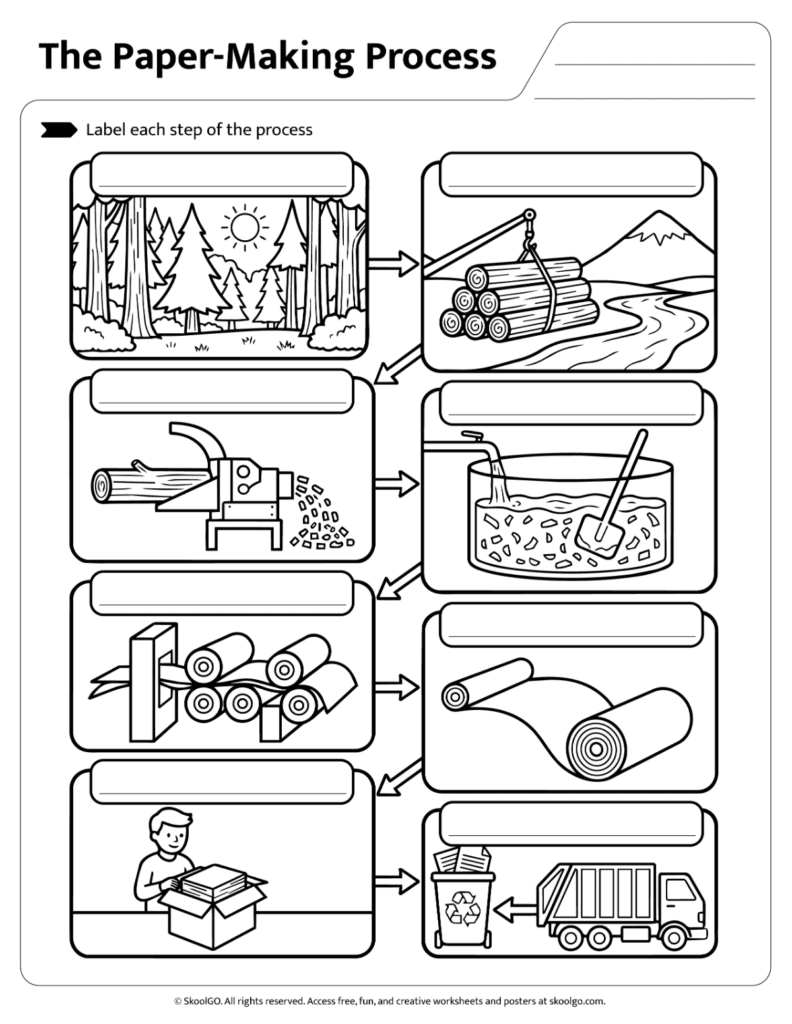 Paper-Making Process Label the Steps Activity Paper-making process worksheet where students label each stage of paper production