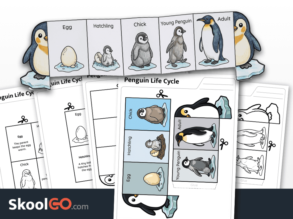 Penguin life cycle activity printable worksheet for science and sequencing practice