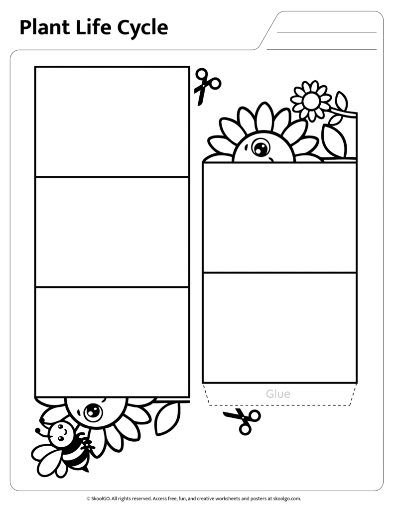 Black and white plant life cycle cut and paste worksheet for coloring and learning