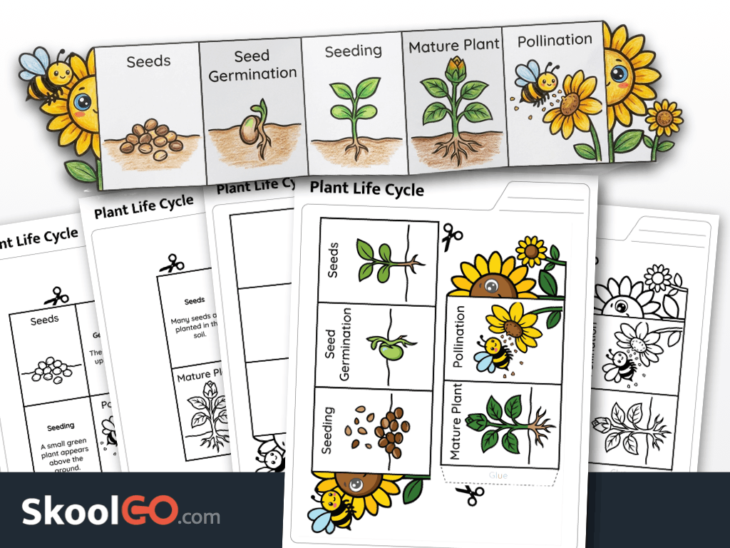 Plant life cycle cut and paste worksheet printable science activity for elementary learners