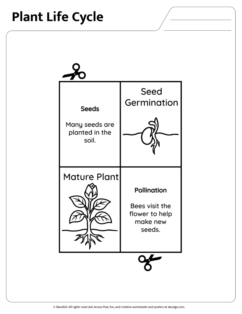 Plant life cycle information page explaining seeds and pollination stages