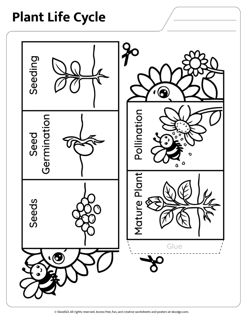 Printable plant life cycle assembly template for sequencing science activity