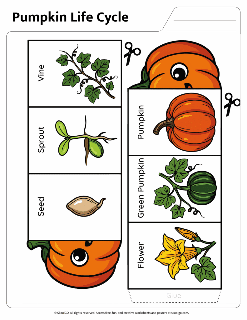 Pumpkin Life Cycle Color Cut and Paste Worksheet Color pumpkin life cycle worksheet showing seed sprout vine flower green pumpkin and pumpkin stages