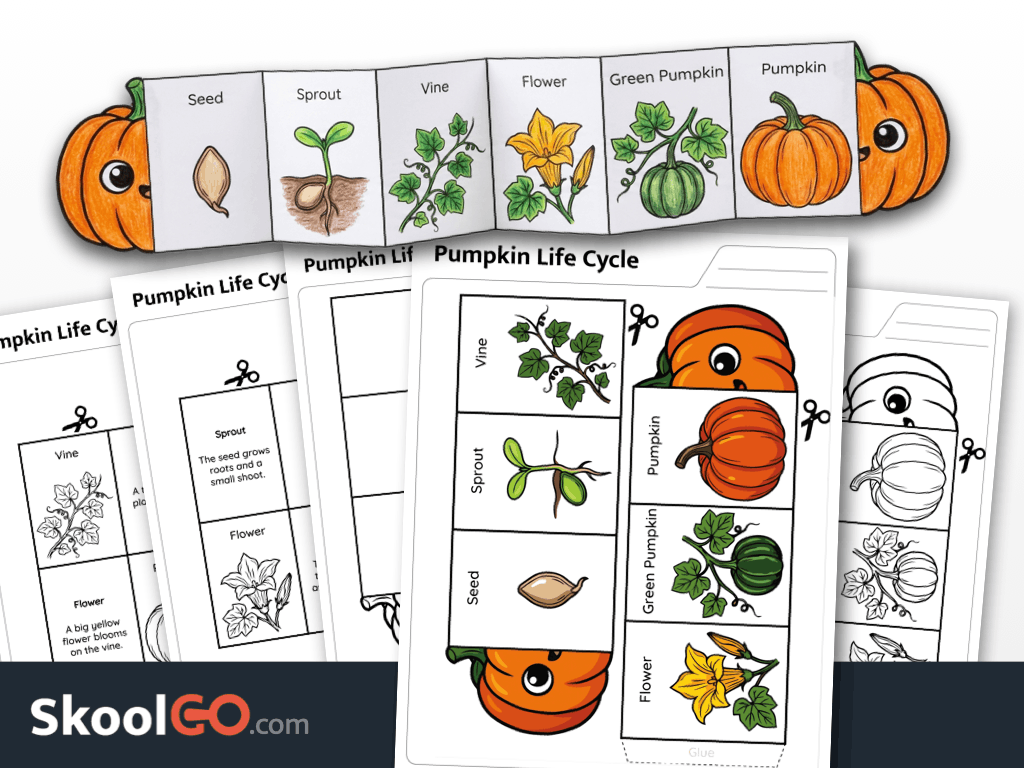 Pumpkin life cycle worksheet printable science activity for young learners