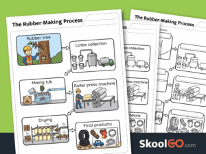 Rubber-making process worksheet printable science resource for young learners