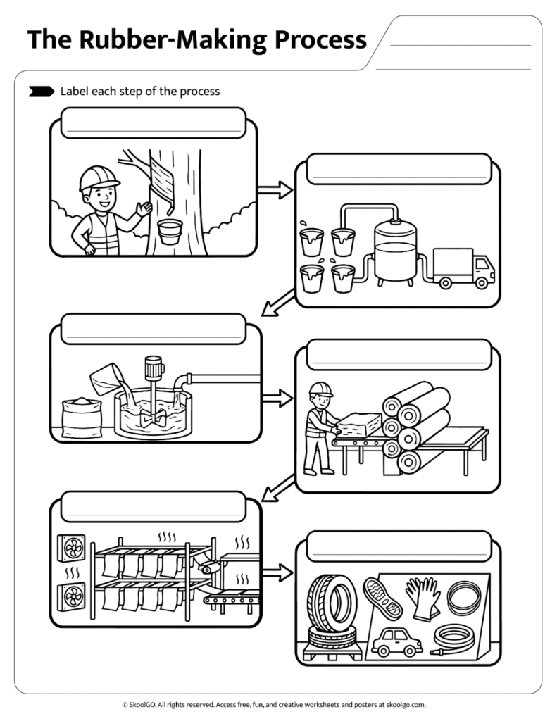 Science worksheet where students label each stage of the rubber-making process