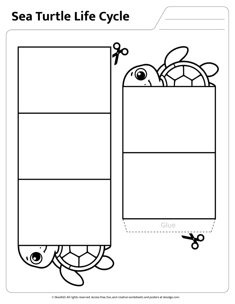 Sea Turtle Life Cycle Assembly Activity Printable sea turtle life cycle craft activity page for sequencing practice