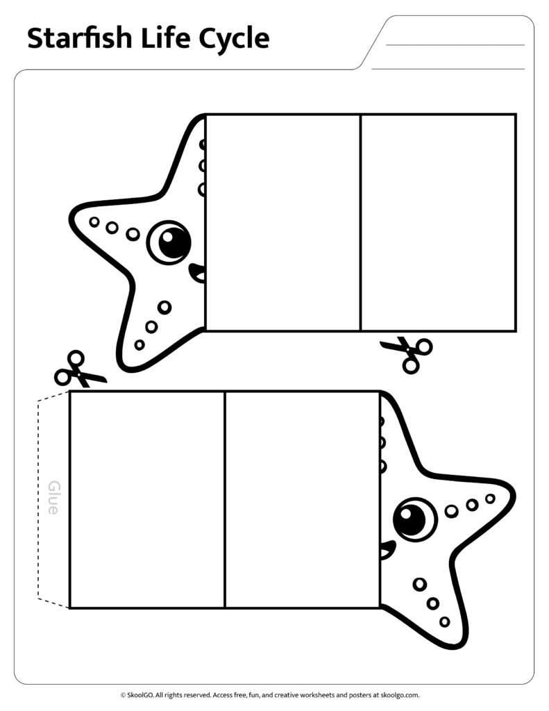 Cut and paste starfish life cycle activity for sequencing science stages