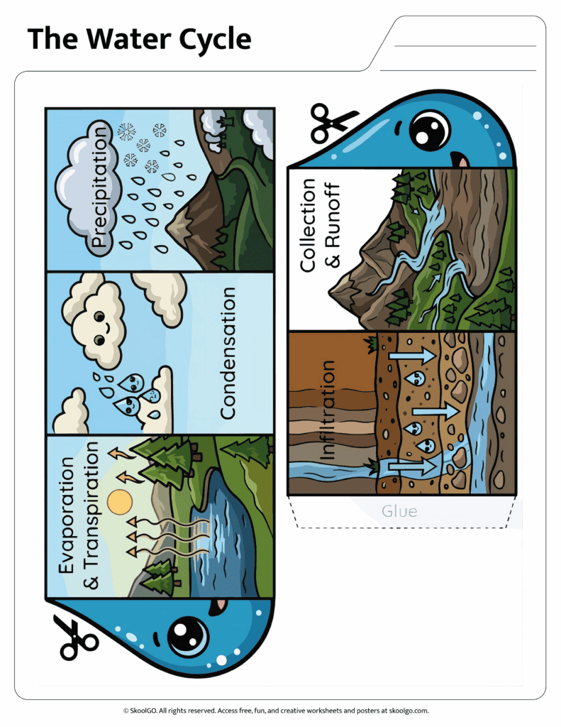 Water Cycle Cut and Paste Worksheet Color Version Color water cycle worksheet showing evaporation, precipitation, condensation stages