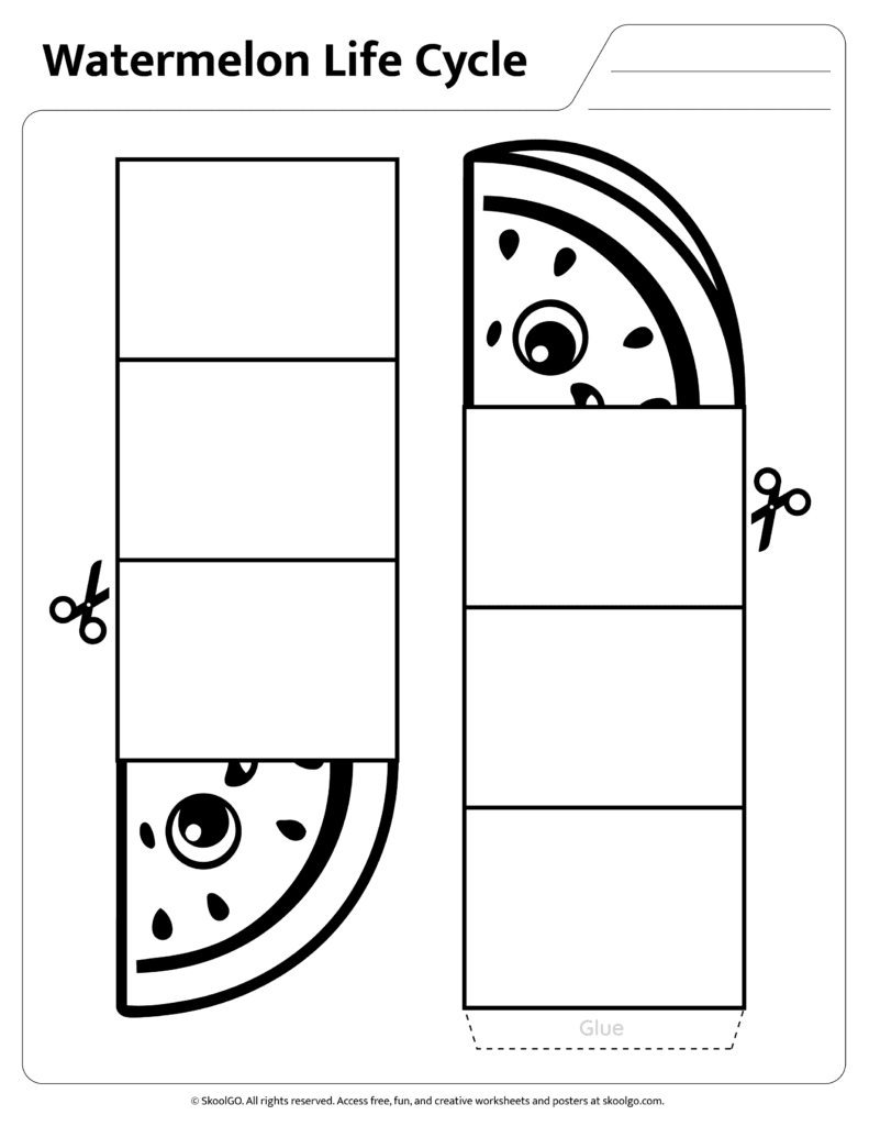 Watermelon Life Cycle Wheel Assembly Page Assembly page for building the watermelon life cycle wheel activity
