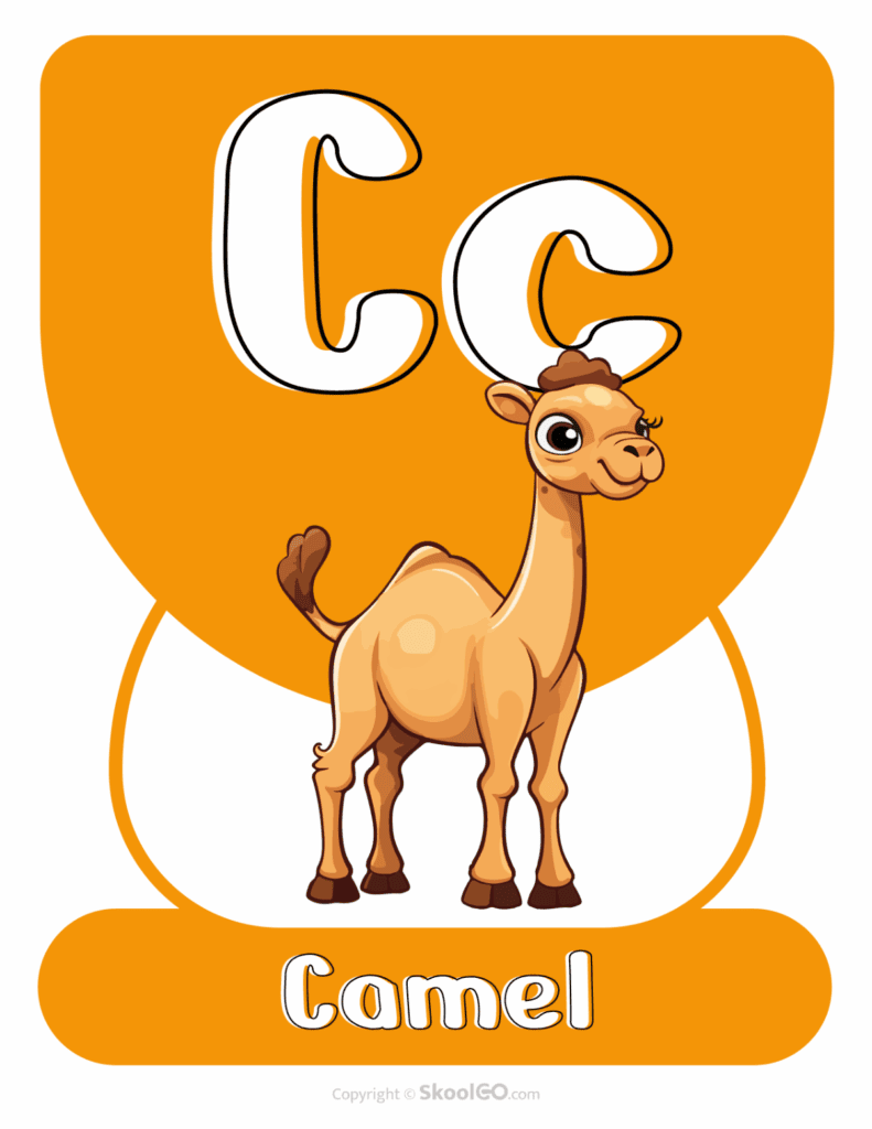 Printable Animal Alphabet Poster featuring the uppercase and lowercase letter C with a camel illustration for alphabet learning.