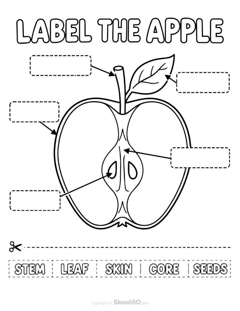 Label the Apple Science Worksheet - b&w Black and White Apple labeling worksheet featuring stem, leaf, skin, core, and seeds