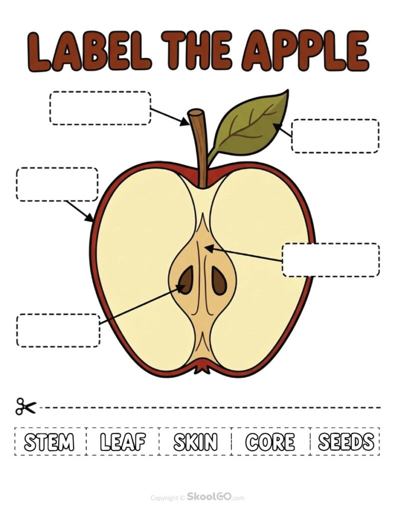 Label the Apple Science Worksheet Apple labeling worksheet featuring stem, leaf, skin, core, and seeds